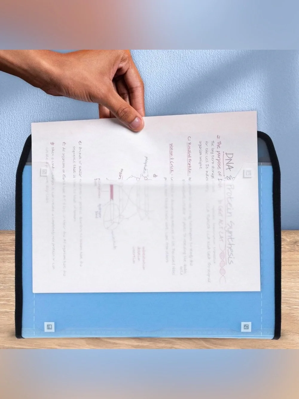 Five Star portable accordion